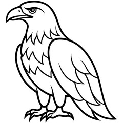 Clean & Sharp Eagle Line Art