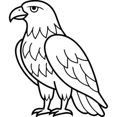 Clean & Sharp Eagle Line Art