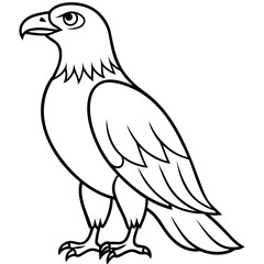 Clean & Sharp Eagle Line Art