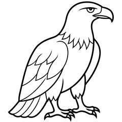 Clean & Sharp Eagle Line Art