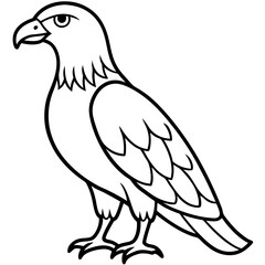 Clean & Sharp Eagle Line Art