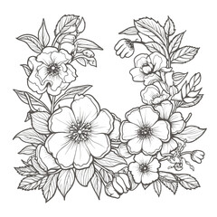 Line art illustration of a rectangular frame adorned with decorative flowers, leaves, and botanical elements. Represents a natural border, elegant design, and printable template.