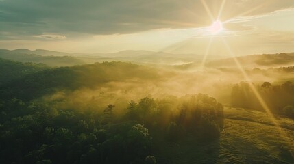 Obraz premium Sunrise over misty forest landscape