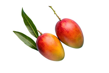 Fresh Ripe Mangoes Centered with Transparent Background &ndash; Minimal Studio Style Fruit PNG Image


