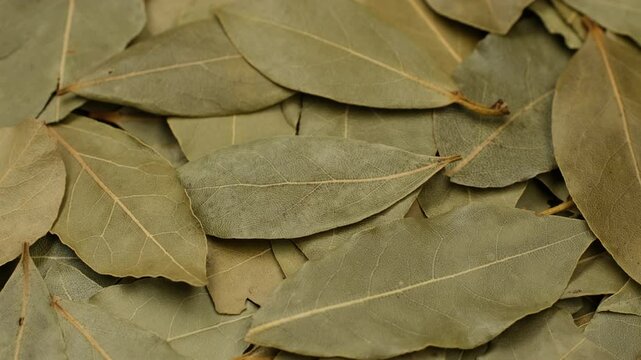 Heap of Dried bay leaf close up, rotation