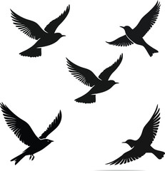 Fototapeta premium black silhouette birds set vector 