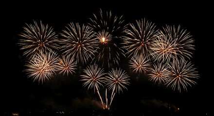 Display of Golden Fireworks Exploding in Dark Night Sky
