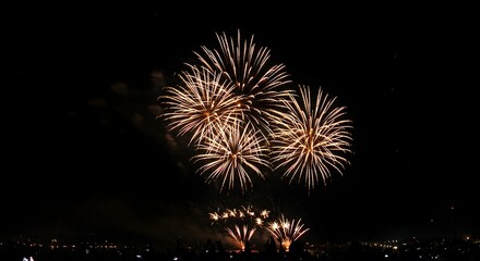 Fireworks Exploding in Dark Night Sky Celebration