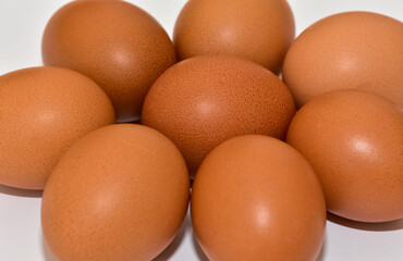 animal foods and chicken eggs photos