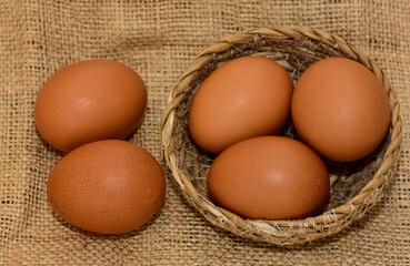 animal foods and chicken eggs photos