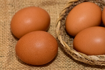 animal foods and chicken eggs photos