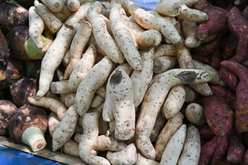 Sweet potatoes and taro can be processed into various dishes.
