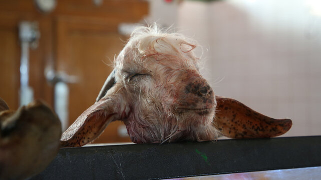 Cabeza de carnero en mercado de T&uacute;nez