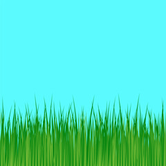 Green grass, isolated vector illustration.