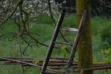 Vecchia scala di legno