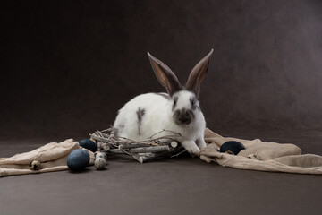 A bunny sits in a draped nest with eggs, posed against an artistic backdrop capturing the gentle charm of a springtime scene.