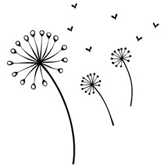 Dandelion seeds flying as tiny hearts outline
