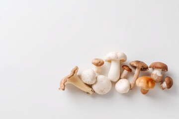Fototapeta premium capture minimalistic arrangement of diverse wild mushrooms isolated on smooth white background