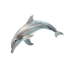 Obraz premium 3D Dolphin – Realistic Marine Animal Isolated on Transparent Background