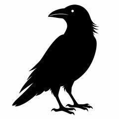 Dark Crow Silhouette Graphic