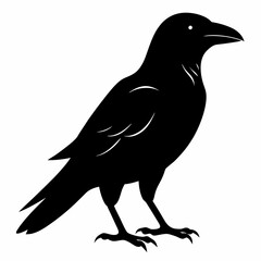 Dark Crow Silhouette Graphic