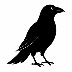 Dark Crow Silhouette Graphic