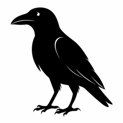 Dark Crow Silhouette Graphic