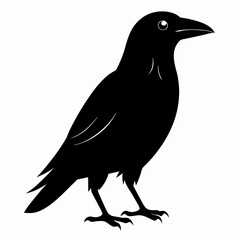 Dark Crow Silhouette Graphic