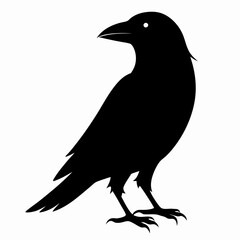 Dark Crow Silhouette Graphic