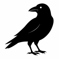 Dark Crow Silhouette Graphic