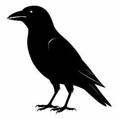 Dark Crow Silhouette Graphic