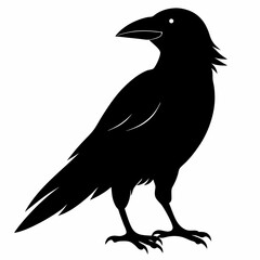 Dark Crow Silhouette Graphic