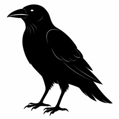 Dark Crow Silhouette Graphic