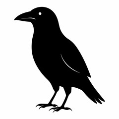 Dark Crow Silhouette Graphic