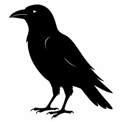 Dark Crow Silhouette Graphic