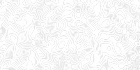 White topography topology vector white background fresh contour map texture. white seamless pattern Abstract background with a wave Topography and geography map grid abstract backdrop.