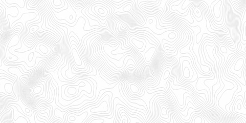 White topography topology vector white background fresh contour map texture. white seamless pattern Abstract background with a wave Topography and geography map grid abstract backdrop.
