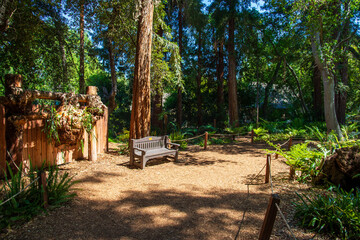 a gorgeous landscape with a bench, lush green trees and plants at Descanso Gardens in La Canada Flintridge California USA