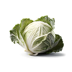 cabbage isolated on white background