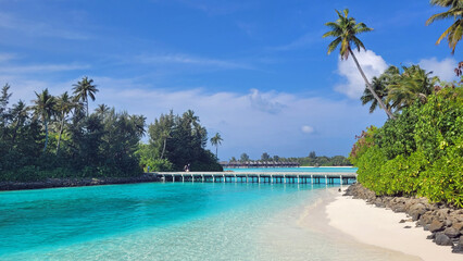 exotic tropical island on the maldives