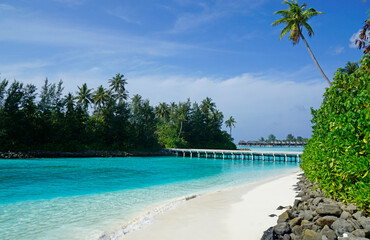 exotic tropical island on the maldives