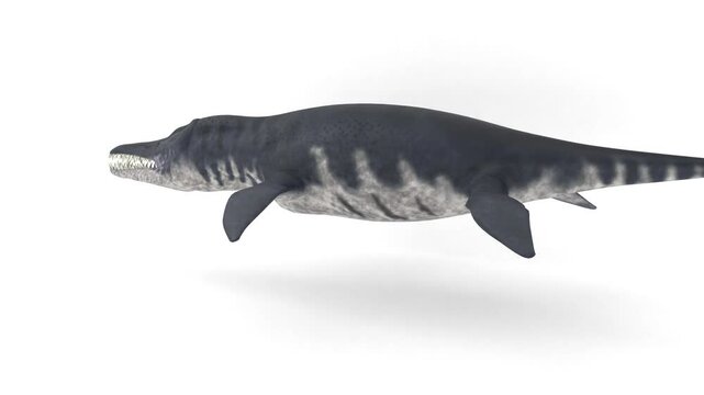 liopleurodon on white background