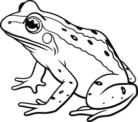 frog on white