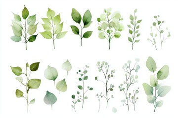 Obraz premium Botanical painting of tropical plants, characterized by hand-painted watercolor palm leaves and green leaves