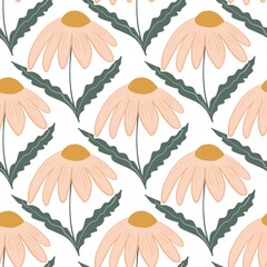 Seamless pattern with daisy flowers on white background, Hand-drawn botanical daisy floral pattern.botany elements.