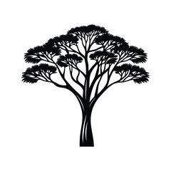 Obraz premium Acacia tree icon silhouette vector with white background