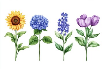 Fototapeta premium Colorful wildflowers are featured alongside flowers, including lilac, lily, sunflower, and cornflower, as watercolor floral elements suitable for cards and design
