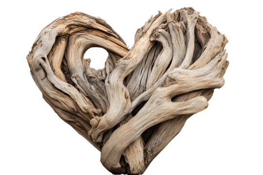 Heart shaped driftwood sculpture on a white background.