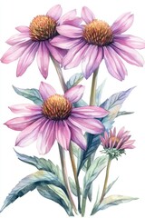 Obraz premium The wedding bouquets of fall flowers are depicted in watercolor, featuring a floral pastel botanical arrangement that includes echinacea flowers and a summer plant