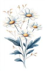 Chamomile is depicted in a botanical watercolor, with a single Chamomile flower set against a plain background, alongside a watercolor painting of wildflowers and various wild flora